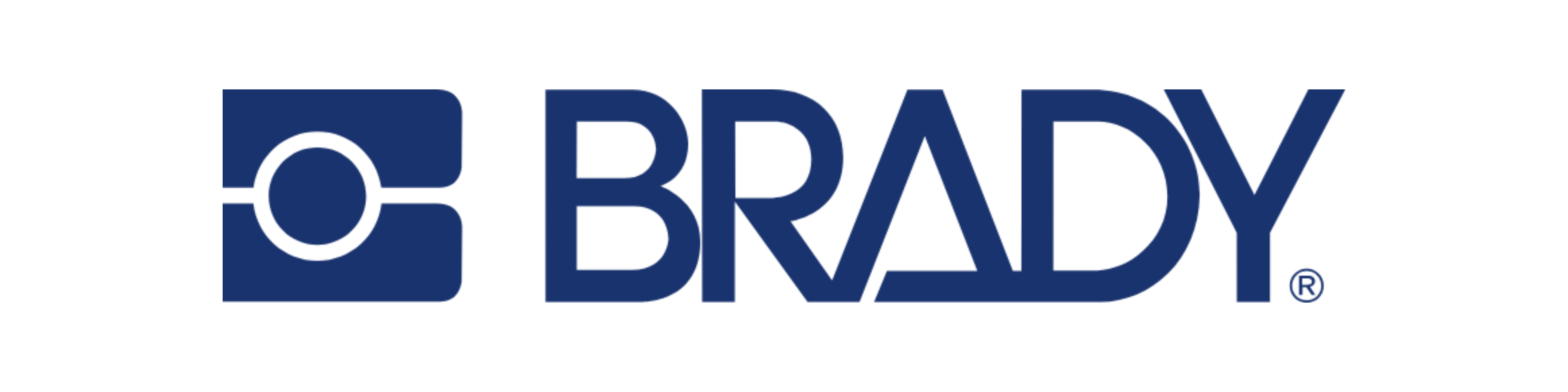 BRADY LOGO